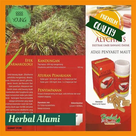 Jual Alychin Ekstrak Umbi Bawang Dayak Bawang Berlian Tiwai Umbi