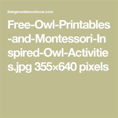 Free Owl Printables And Montessori Inspired Owl Activities