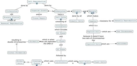 Cell Reproduction