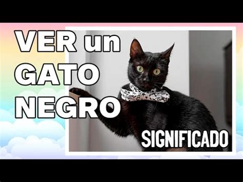 Qu Simboliza Un Sue O Con Gato Negro Descubre Su Significado