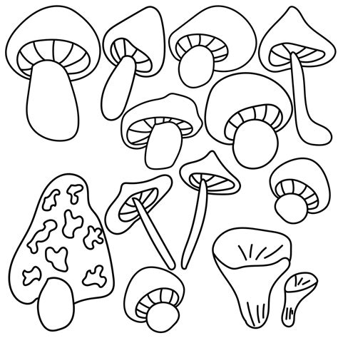 Set Schets Doodle Paddestoelen Kleurplaat Met Verschillende Soorten En