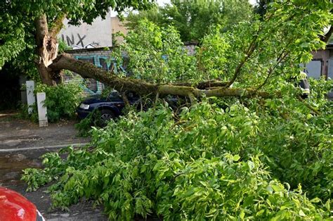 Szczecin Zniszczenia Po Przej Ciu Gwa Townej Burzy