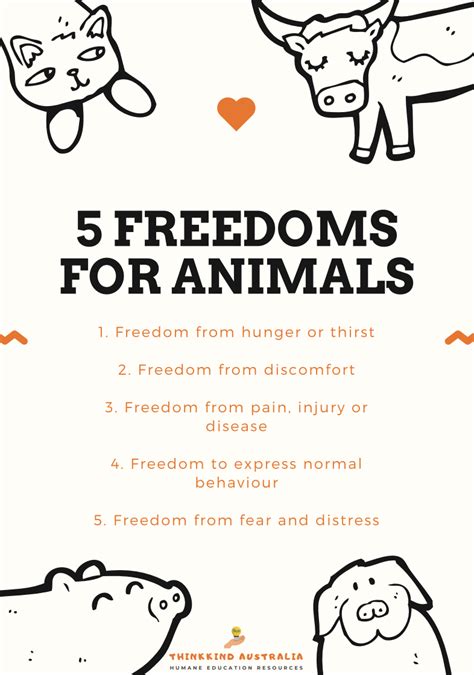 Five Freedoms for Animals Classroom Poster