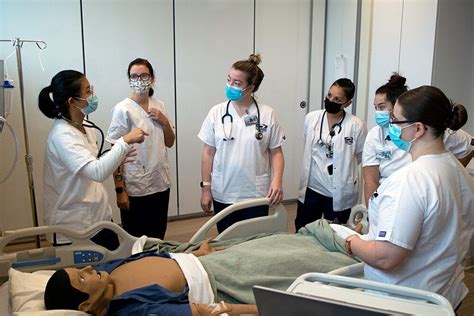 Exploring Accredited Options: Best Nursing Colleges in Florida | by ...