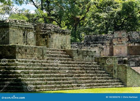 Mayan Ruins of Copan, Honduras Stock Photo - Image of america, destination: 102305070