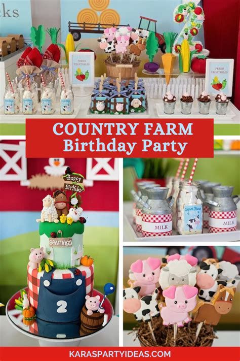 A Farm Themed Birthday Party With Lots Of Food And Decorations