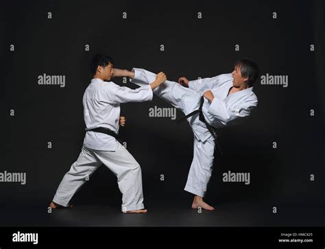 Japanese karate masters fighting Stock Photo - Alamy