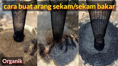 Cara Buat Arang Sekam Sekam Bakar Dari Kulit Padi YouTube