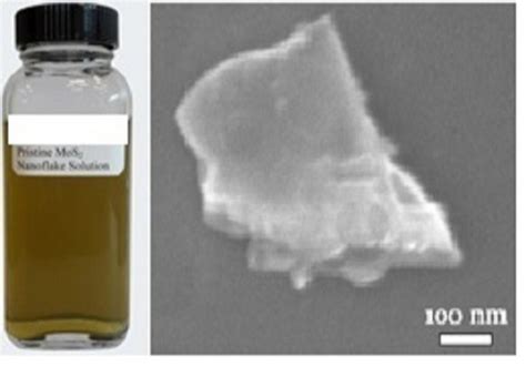 Liquid Molybdenum Disulfide Mos2 Pristine Flakes In Solution 100