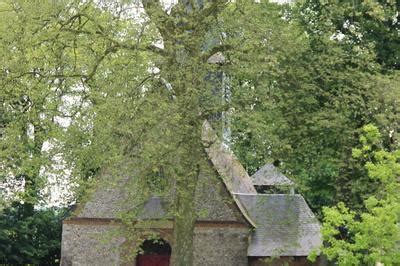 Exposition Visite libre de l église Notre Dame de la Nativité à Bois