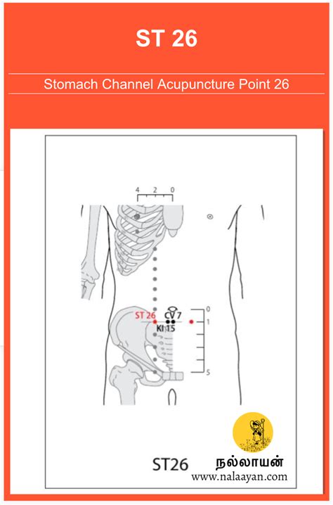 8 Ways To Stop Nausea With Acupressure Artofit