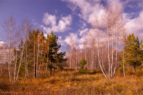 В конце октября / В конце октября / Фотография на PhotoGeek.ru