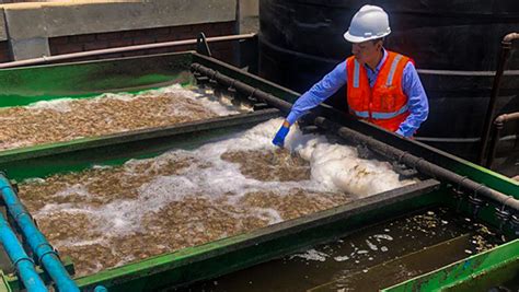 Por Qu Necesitas Capacitaci N En La Operaci N Y Control De Plantas De