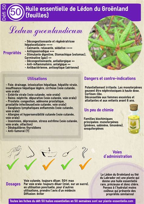 Toutes Les Fiches De Plante Essentielle Sur Les Huiles Essentielles