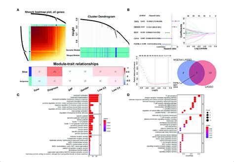 Gene Modules Univariate Cox Regression And Functional Analysis Of Download Scientific