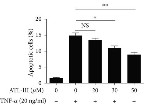 Effects Of Atl Iii On Apoptosis And Autophagy In Vitro The Effect Of