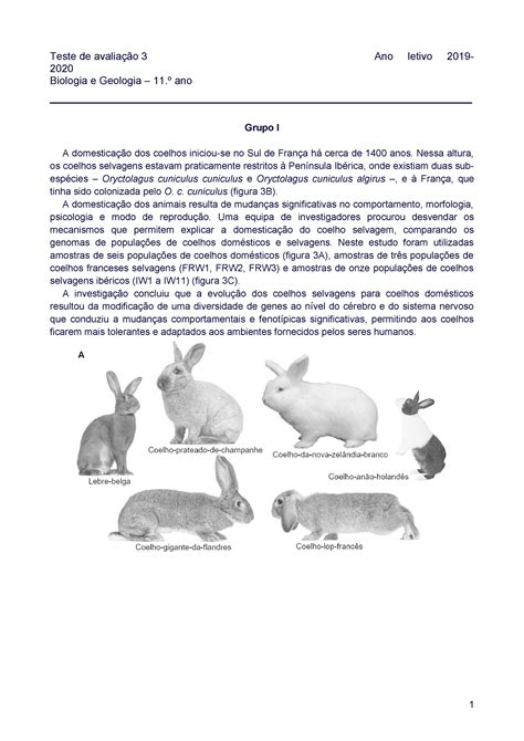 Biogeo 11 Teste 3 2019 2020 Teste de avaliação 3 Ano letivo 2019