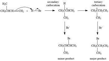 Methyl Butene Structure