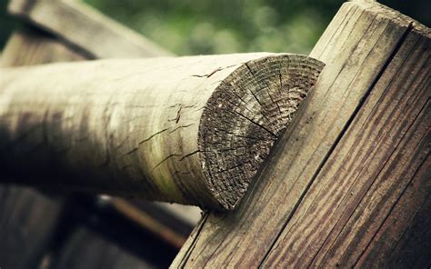 Online Crop Cut Log Wood Fence Nature Closeup Hd Wallpaper