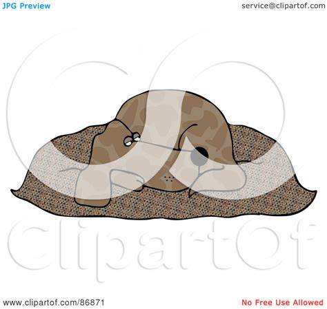 Fluffy Brown Clipart 20 Free Cliparts Download Images On Clipground 2024