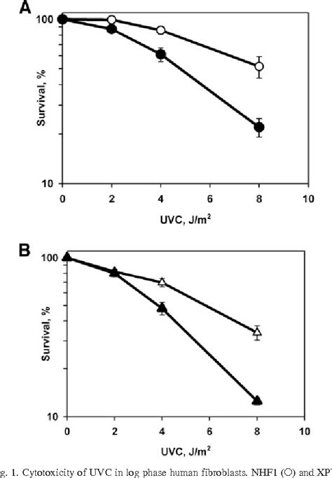 Figure From The Role Of Dna Polymerase In Translesion Synthesis