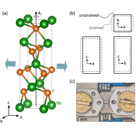 (a) Unit cell of the tetragonal crystal lattice of NbP. Uniaxial ...