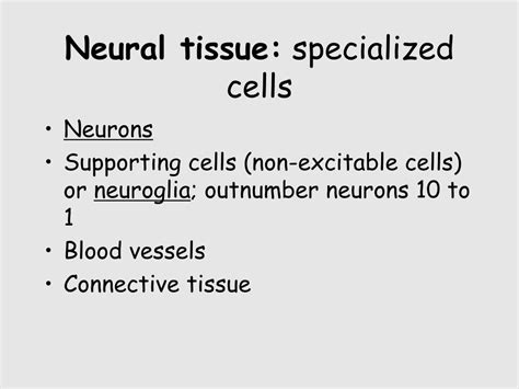 neural tissue powerpoint    id