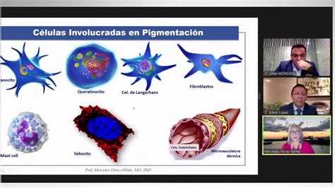 Webinar Isispharma Dermatologie Youtube