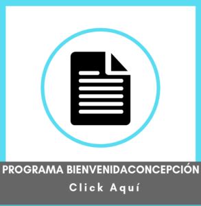 Concepción Intercambios UDD