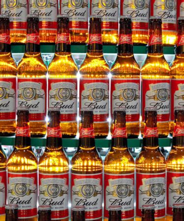 AB InBev Stock Plummets After Dividend Cuts | VinePair