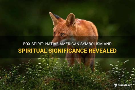 Fox Spirit Native American Symbolism And Spiritual Significance Revealed Shunspirit