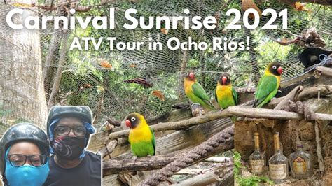 Carnival Sunrise 2021 Ocho Rios Jamaica Atv Tour At Yaaman