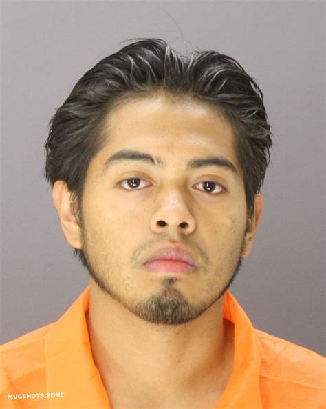 Ramirezflores Rigoberto Dallas County Mugshots Zone