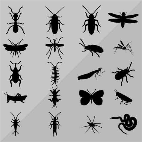 Diseño de conjunto de iconos de insectos Vector Premium