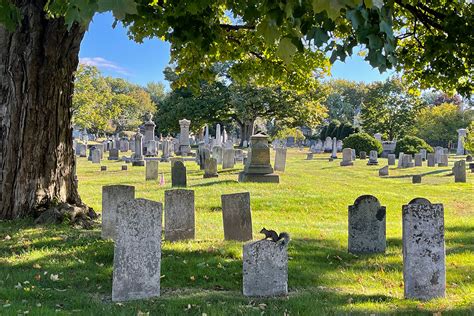 The Potential of Our Decay: Cemeteries That Save the American Landscape ...