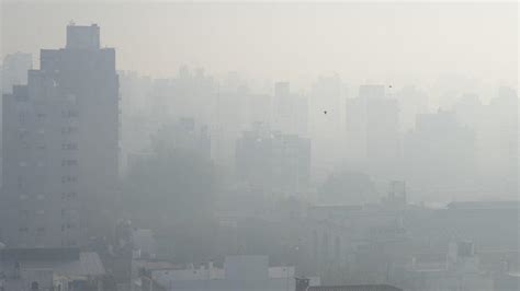 Incendios En El Delta Así Está Rosario Tras La Quema De Pastizales En