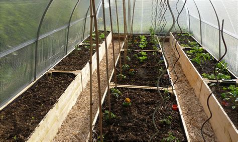 Amenagement Serre Tonneau Mon Potager En Carr S