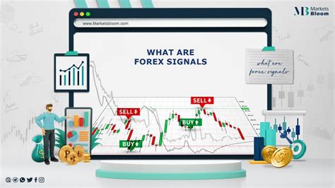 What are forex trading signals? - Marketbloom