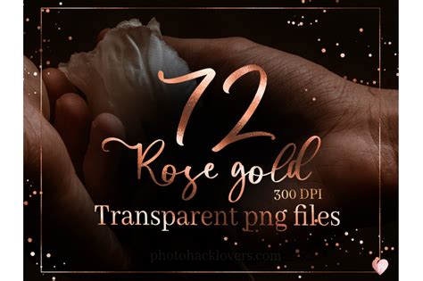 Rose Gold Foil Alphabet Clipart By Photohacklovers TheHungryJPEG