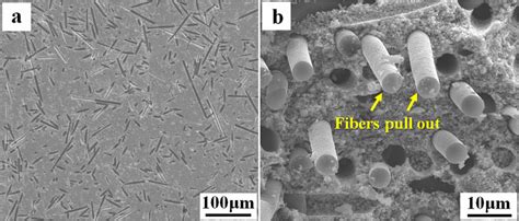 Sem Images Of A Polished Surface And B Fracture Surface Of Zrb