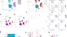 gene prognostic model based  autophagy dependent cell death
