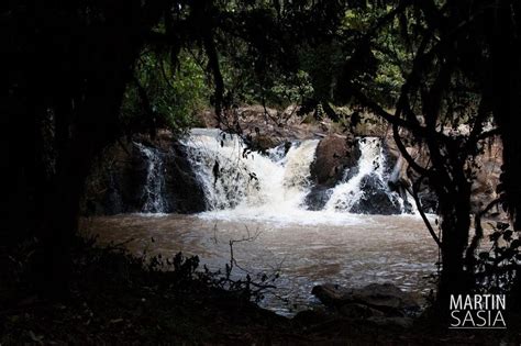 Kakamega Forest National Reserve - Uzamart