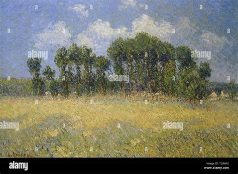 Landschaft Mit Pappeln Fotos Und Bildmaterial In Hoher Aufl Sung Alamy