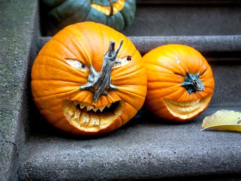 Pumpkin Carving Ideas For Halloween 2017 More Great Pumpkins 2013 Edition