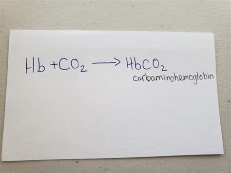 Gas Exchange Carbon Dioxide Transport Flashcards Quizlet