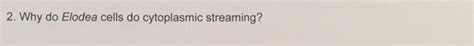 Solved Why do Elodea cells do cytoplasmic streaming? | Chegg.com