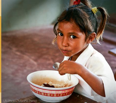 Desnutrici N Y Hambre Cero Desarrollo Sustentable