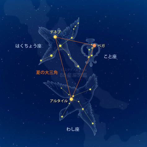 夏の星座の見つけ方｜やさしい88星座図鑑