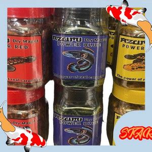 Jual Azumi Dry Maggot Gr Ulat Kering Channa Predator Red Blue Yellow