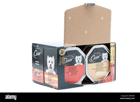 Caja De 8 Paquete De Comida Completa Para Perros Cesar Classic Terrine